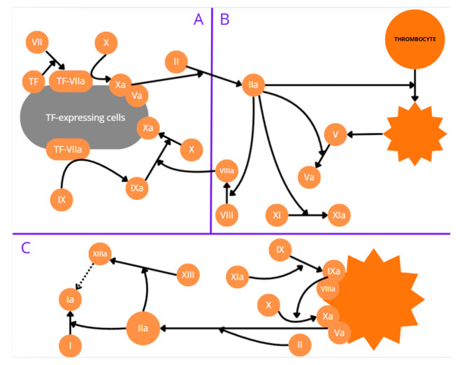 Figure 20