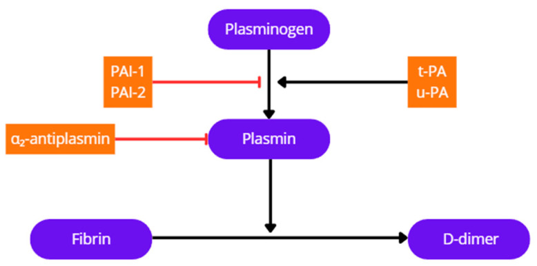 Figure 21