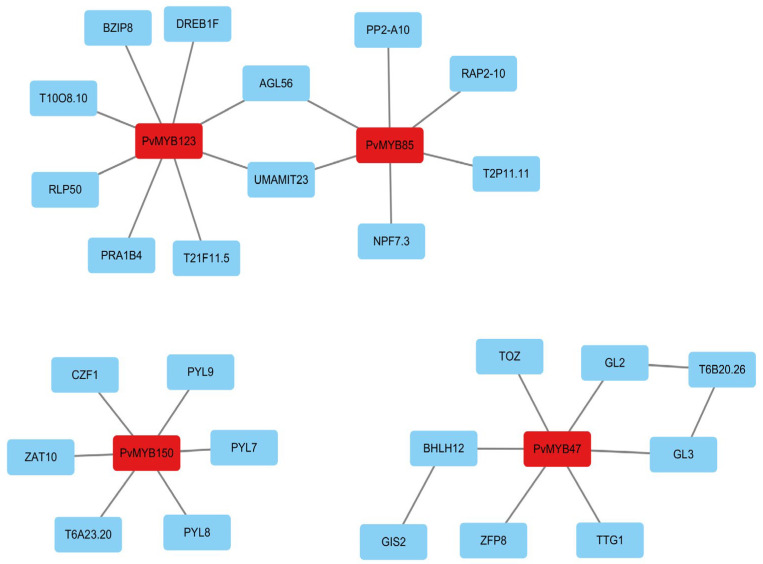 Figure 6