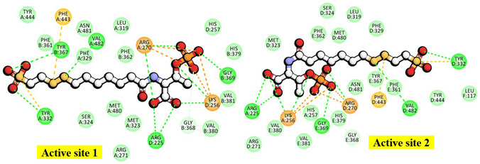 Figure 12