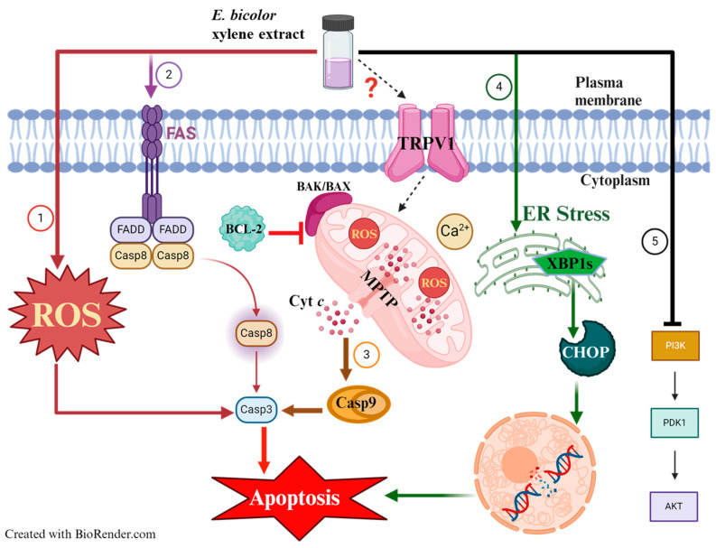 Figure 13