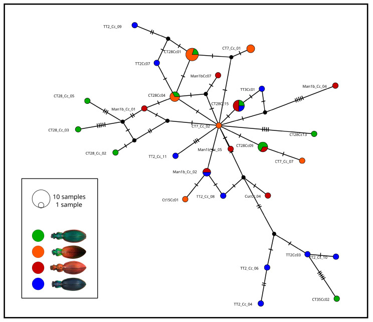 Figure 4