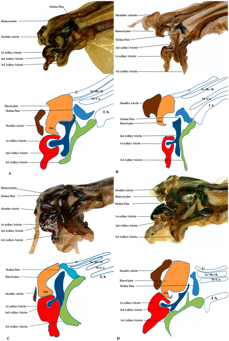 Figure 7