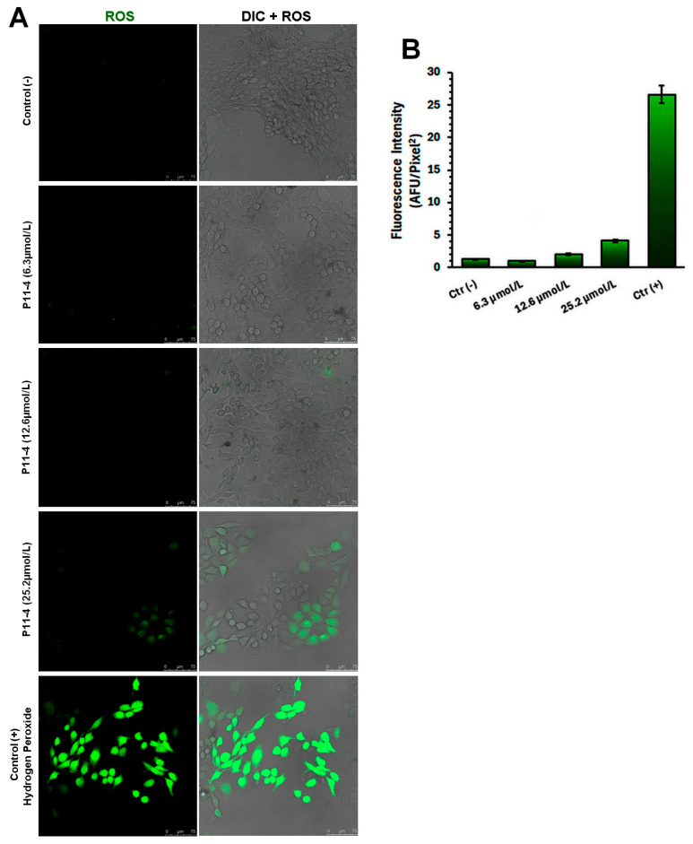 Figure 5