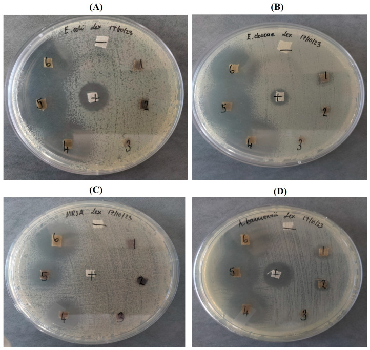 Figure 6