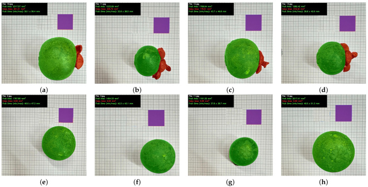 Figure 6
