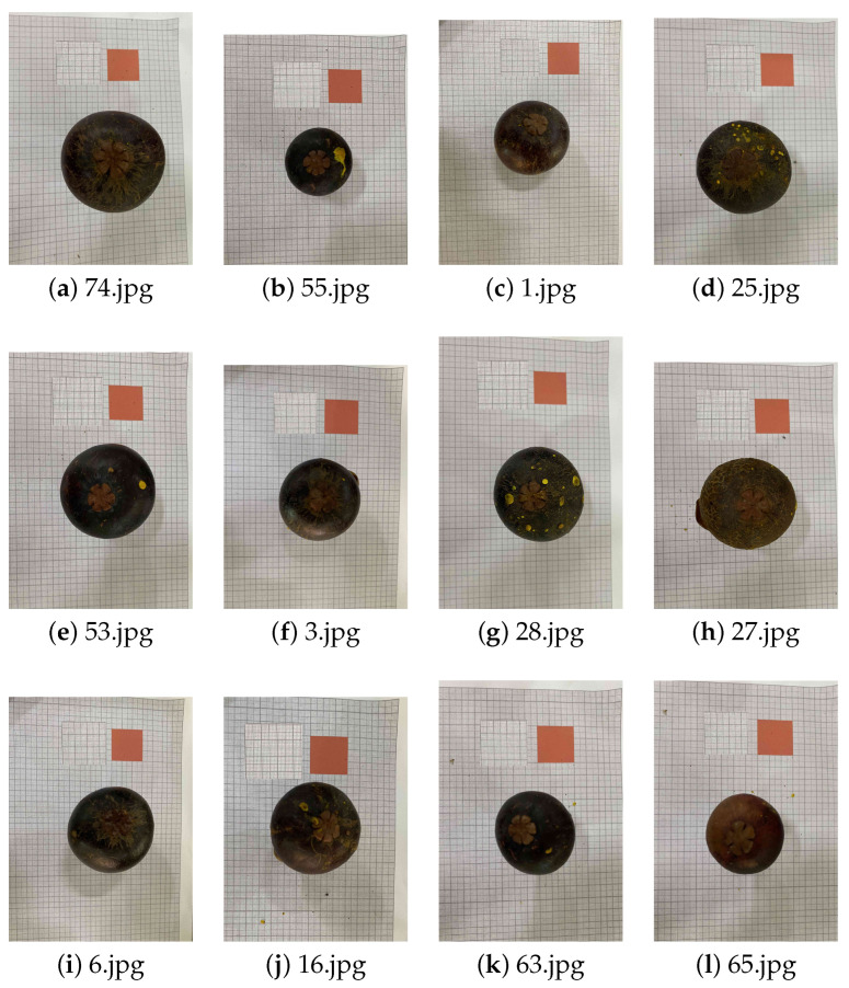 Figure 10