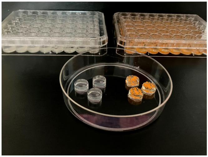 Figure 10