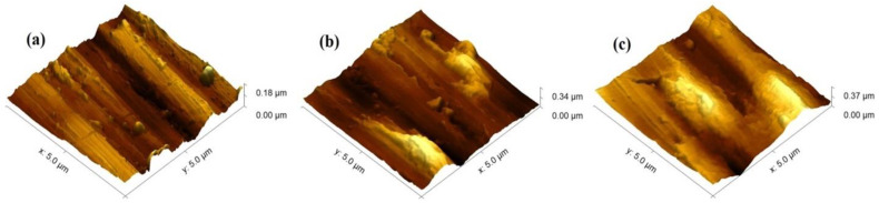 Figure 5