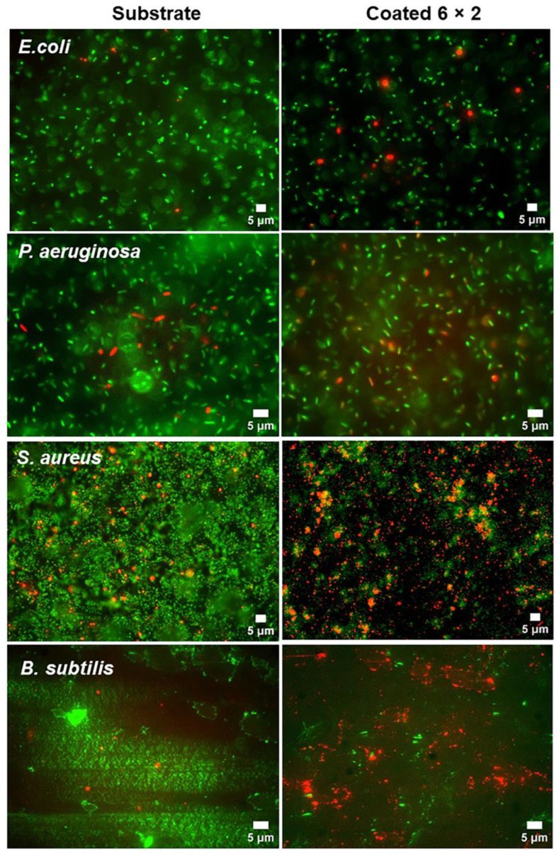 Figure 16
