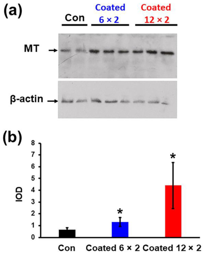 Figure 20