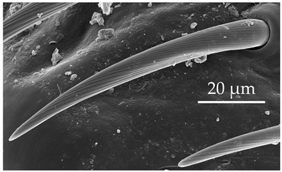 Figure 10