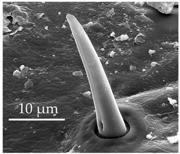 Figure 14