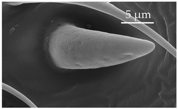 Figure 17