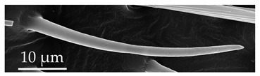 Figure 19