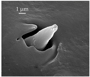 Figure 21