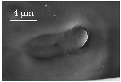 Figure 22