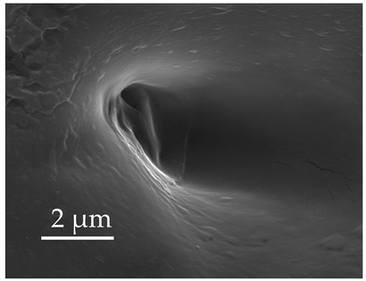 Figure 24