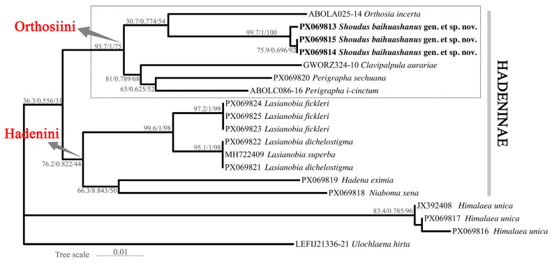 Figure 6
