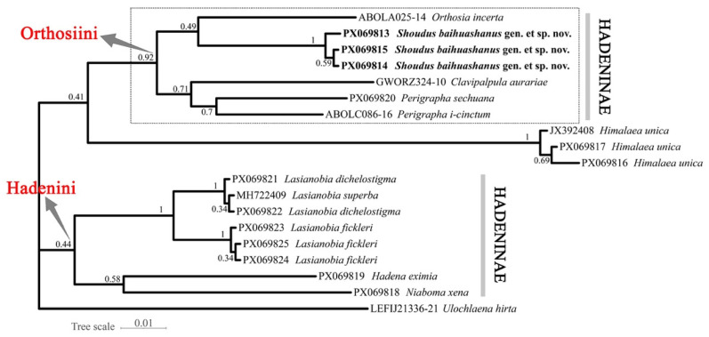 Figure 7