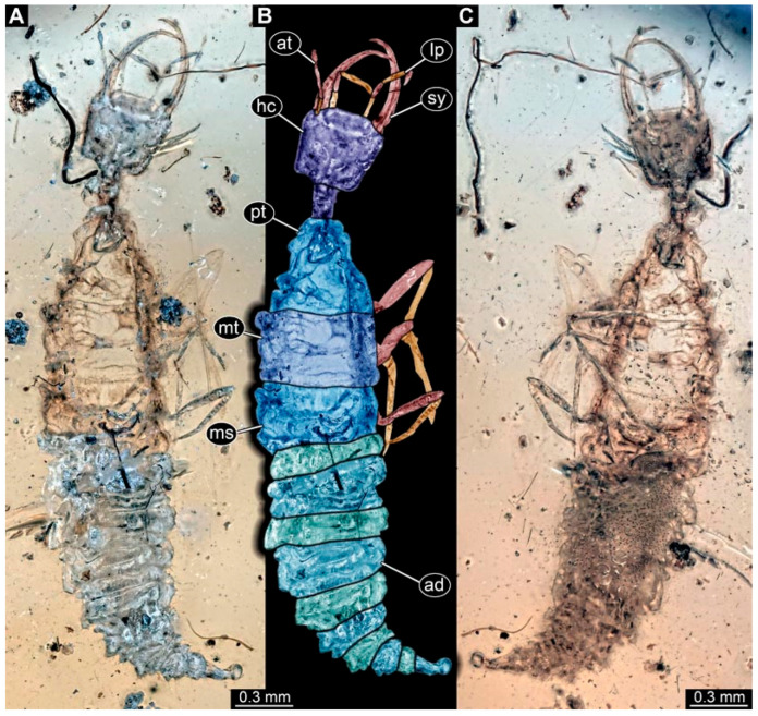 Figure 11
