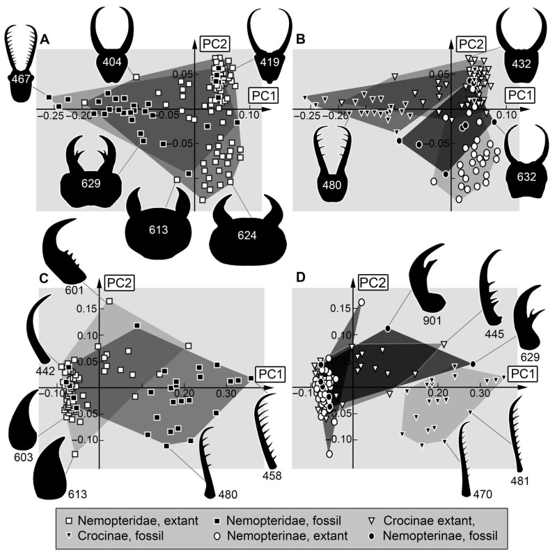 Figure 13