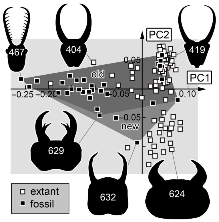 Figure 18
