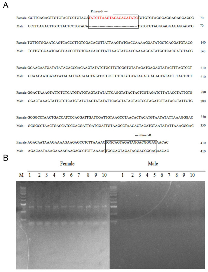 Figure 6