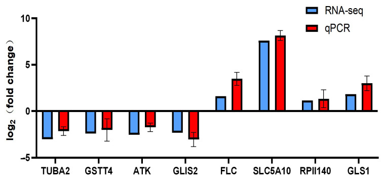 Figure 9