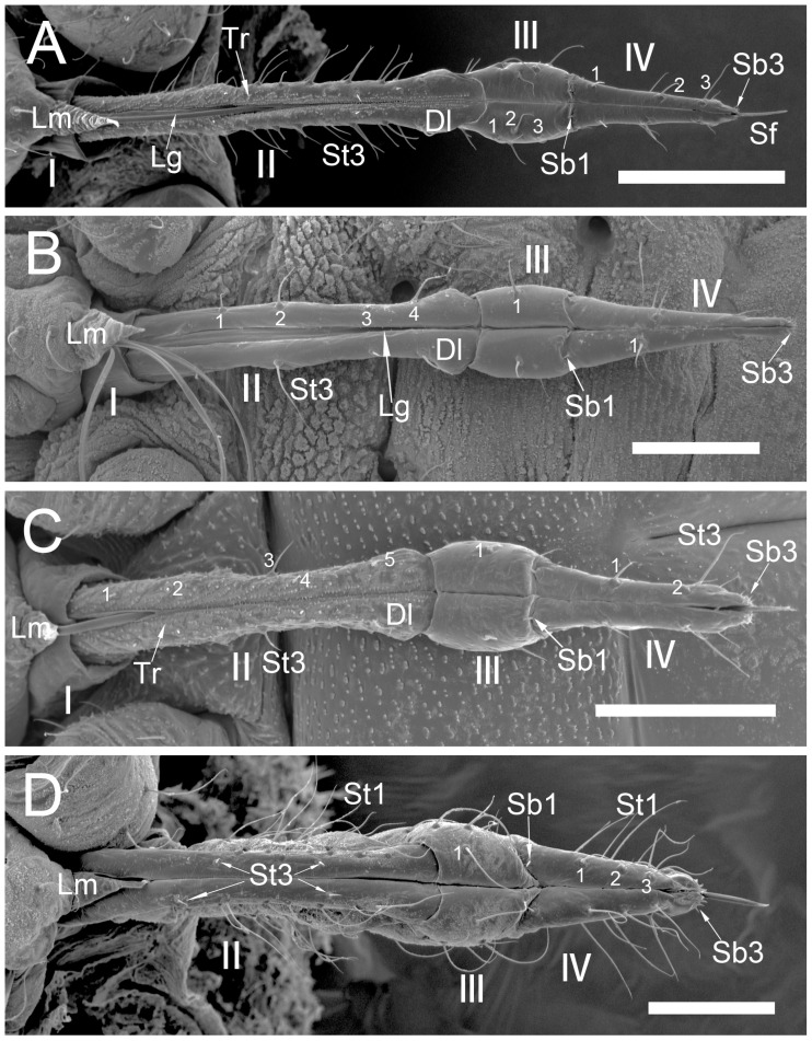 Figure 9