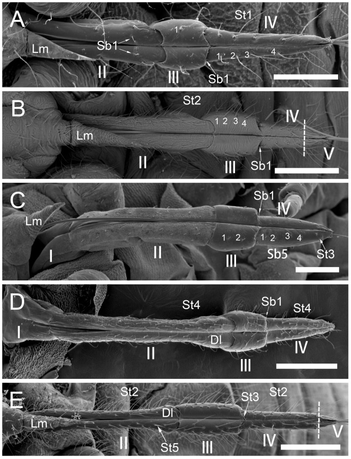 Figure 10