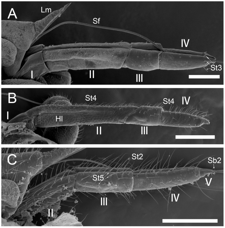 Figure 13