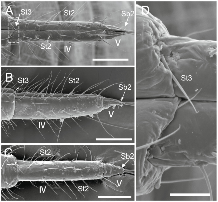 Figure 14