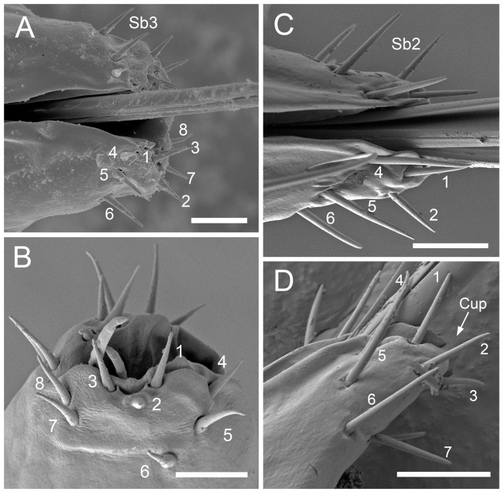 Figure 16