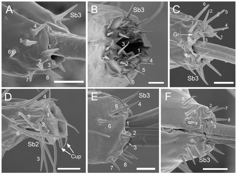 Figure 17