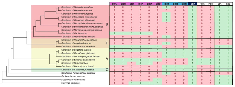 Figure 5