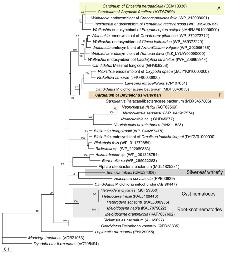 Figure 6