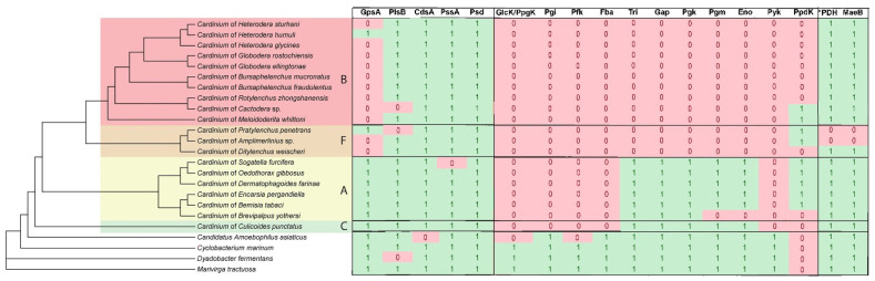 Figure 7