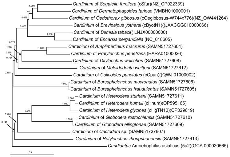 Figure 10