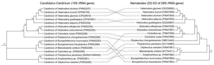 Figure 11