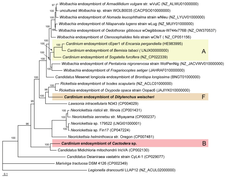 Figure 14