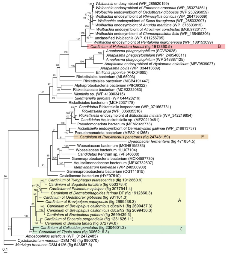 Figure 15