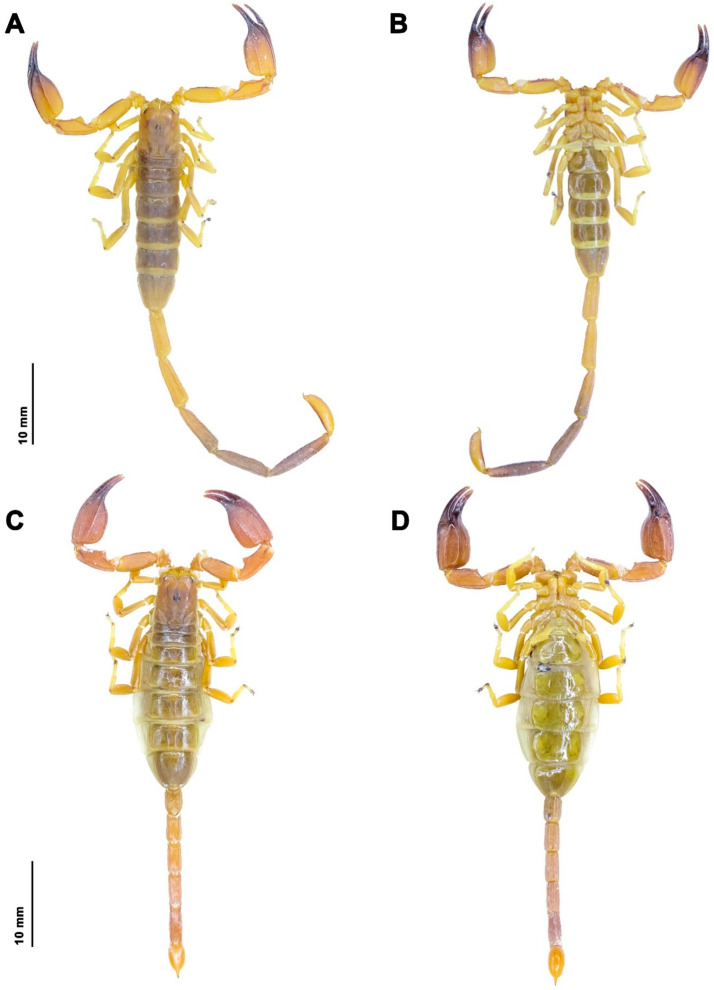 Figure 7