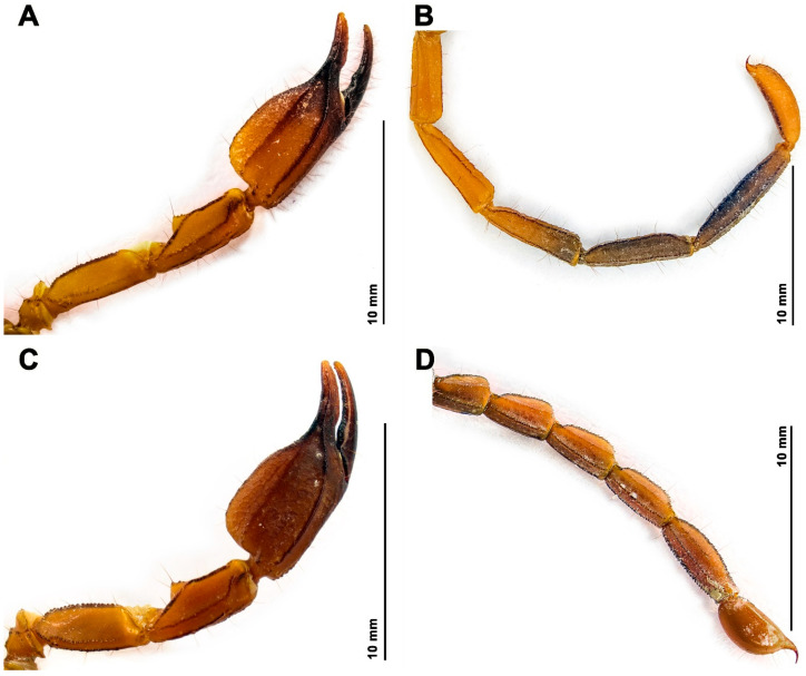 Figure 9