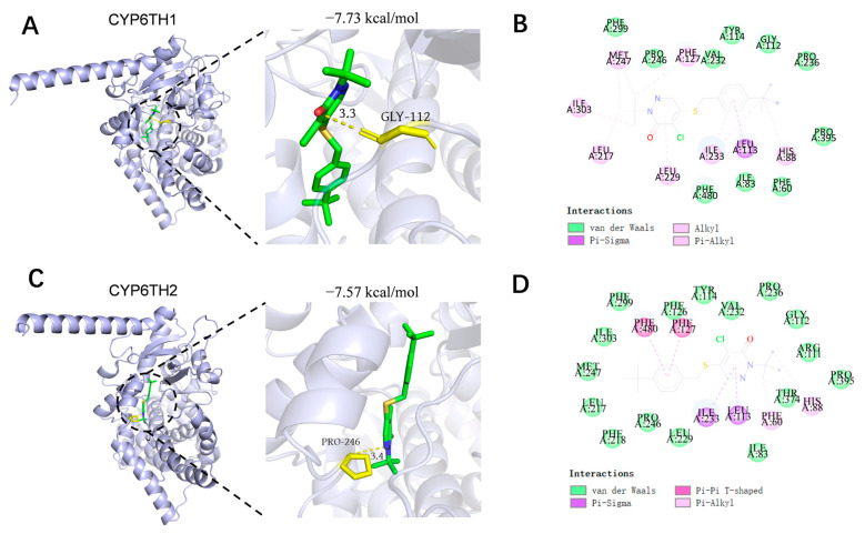 Figure 6