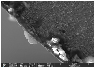 Figure 12
