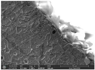 Figure 13