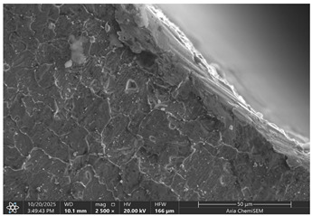 Figure 19