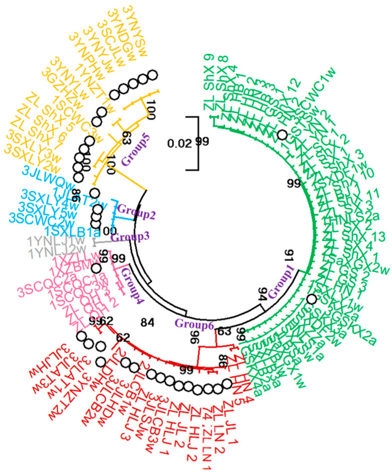 Figure 6