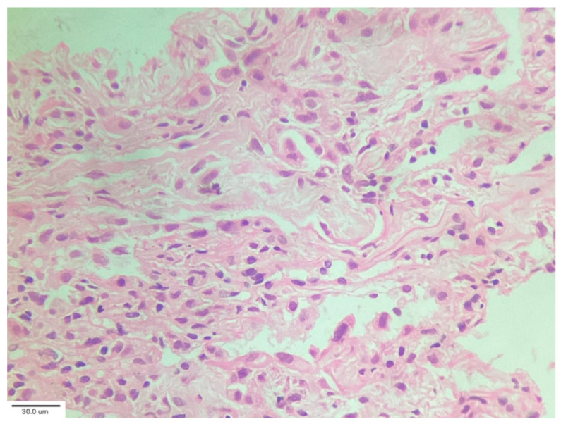Figure 5